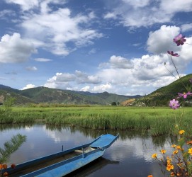 顺德旅游游记(旅游游记怎么写)