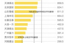 顺德关于伴游小丽中国足球的信息