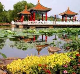 顺德长春旅游攻略(长春旅游攻略必去景点地图)