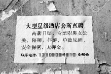 顺德珠海伴游雇用网(珠海游览社雇用信息)