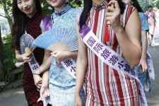 顺德旅游蜜斯(旅游蜜斯是什么意思)