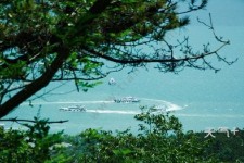 顺德中国伴游网与你分享旅游的点滴(中国伴游网与你分享旅游的点滴是什么)