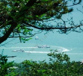 顺德中国伴游网与你分享旅游的点滴(中国伴游网与你分享旅游的点滴是什么)