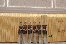 顺德杭州模特礼节兼职群(杭州兼职商务模特经纪人微信)