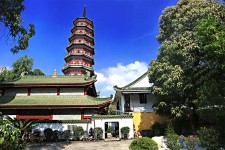 顺德广州自由行(广州 自由行)