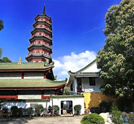 顺德广州自由行(广州 自由行)