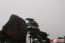 顺德上海伴游私家陪游雇用女模(上海伴游私家陪游雇用女模特)