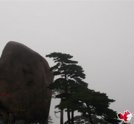 顺德上海伴游私家陪游雇用女模(上海伴游私家陪游雇用女模特)