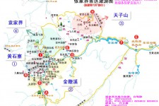 顺德旅游路线规划(旅游路线规划软件)