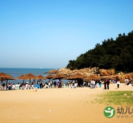 顺德旅游攻略网(旅游攻略网站哪个好)