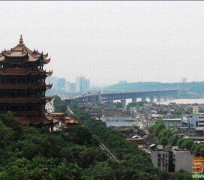 顺德武汉游玩攻略(武汉游玩攻略ppt)