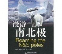顺德游记攻略(ps西游记攻略)