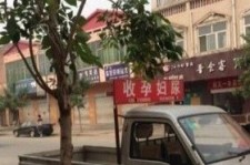顺德上海伴游 用伴游造句大全(5