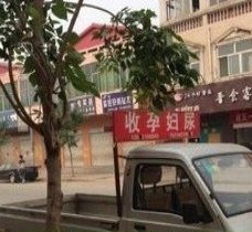 顺德上海伴游 用伴游造句大全(5