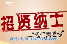 顺德酒店雇用伴游(酒店雇用伴游办事员)