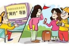 顺德伴游是什么
