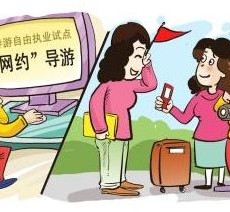 顺德伴游是什么