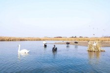 顺德南昌附近伴游小妹兼职(1534939978姐的微信德惠市)
