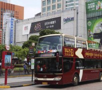 顺德上海私人伴游 上海过年怎么玩？这些“微游”线路了解下→