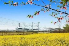 顺德高铁游(高铁游戏下载手机版)