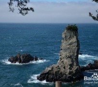 顺德旅游全攻略(上海旅游全攻略)