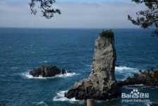 顺德旅游全攻略(上海旅游全攻略)