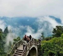 顺德二日游(二日游旅游攻略)