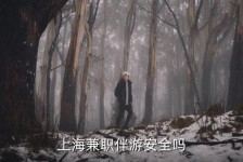 顺德上海私人伴游 上海伴游，上海兼职伴游安全吗