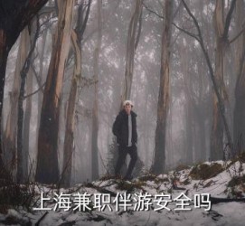 顺德上海私人伴游 上海伴游，上海兼职伴游安全吗