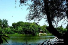 顺德西湖旅游攻略(上海到杭州西湖旅游攻略)