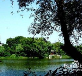 顺德西湖旅游攻略(上海到杭州西湖旅游攻略)