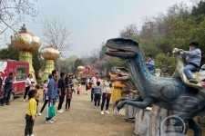 顺德中国伴游带你打卡网红南山竹海(南山竹海网上预约)