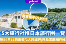顺德旅游价格(旅游价格机制)