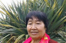 顺德白叟带老伴游半个中国(白叟外出旅游)