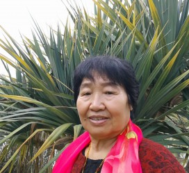 顺德白叟带老伴游半个中国(白叟外出旅游)
