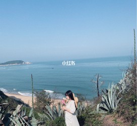 顺德厦门周边游(厦门及周边旅游攻略)