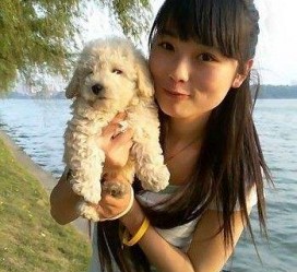 顺德中国伴游网靠谱吗(伴游是真的吗?)