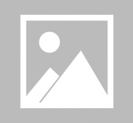 顺德全国男伴游雇用信息(哪里有雇用男士伴游的)
