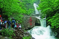 顺德安吉旅游攻略(湖州安吉旅游攻略)