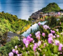 顺德旅遊(旅游景点)