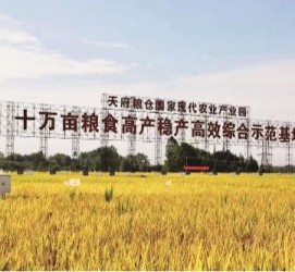 顺德关于成都商务伴游外围雇用的信息