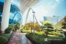 顺德杭州外围伴游雇用(杭州外围雇用经纪人)