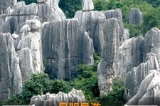顺德贵阳市游览社英语伴游雇用(贵阳市前十名游览社是哪几家)