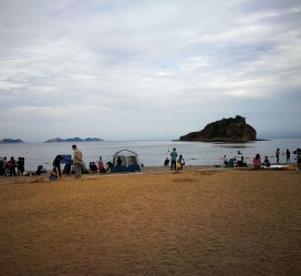 顺德五日游(五日游戏)