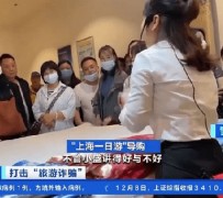 顺德上海私人伴游 看·法｜100元游上海？！“旅社”涉嫌诈骗被一窝端