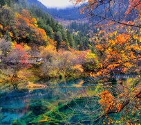顺德四川旅游攻略(四川旅游攻略十五日游)