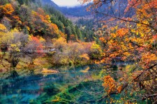 顺德四川旅游攻略(四川旅游攻略十五日游)