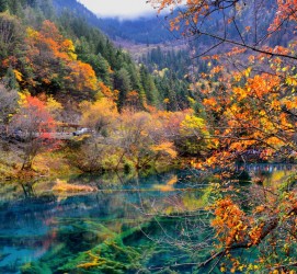 顺德四川旅游攻略(四川旅游攻略十五日游)
