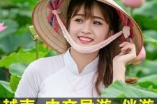 顺德日本关东伴游中国(日本关西旅行)