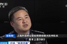 顺德上海伴游招聘 “上海一日游野鸡团”如何行骗？民警暗访出千元被指情分不够